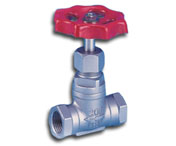 globe valve